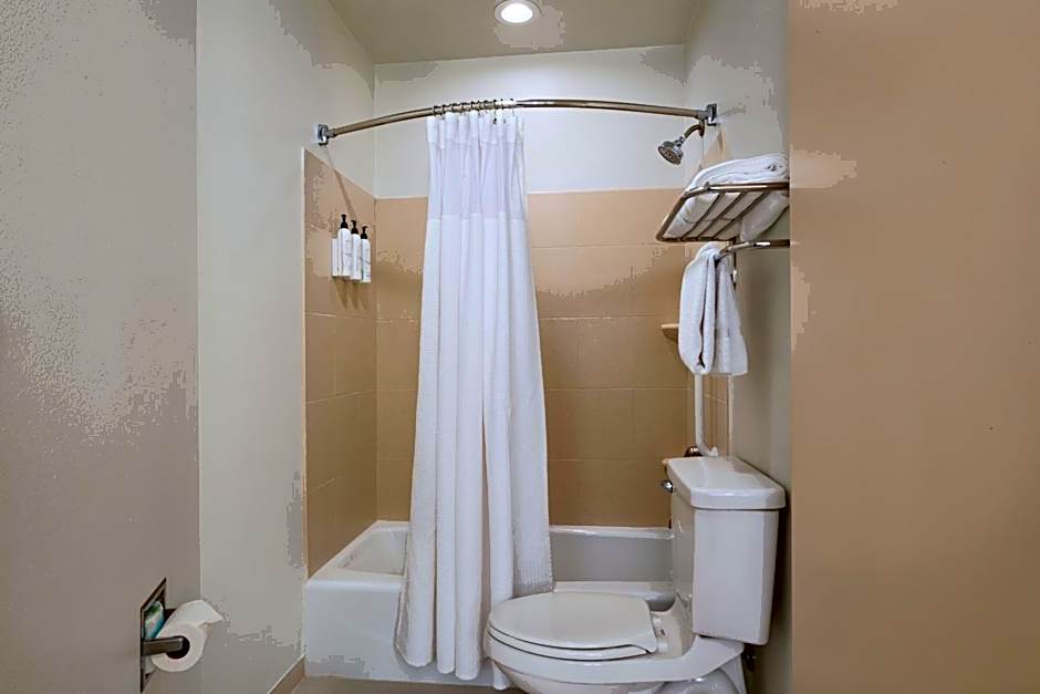 SpringHill Suites by Marriott Dallas Dfw Airport East/Las Colinas Irving