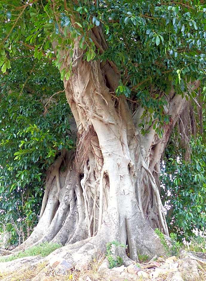 The Kraal Addo Guesthouse