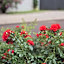 bed & breakfast Outlet Hotel