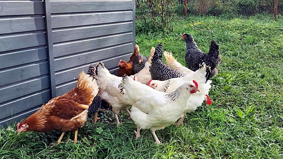 Domaine Le Puits du Moulin