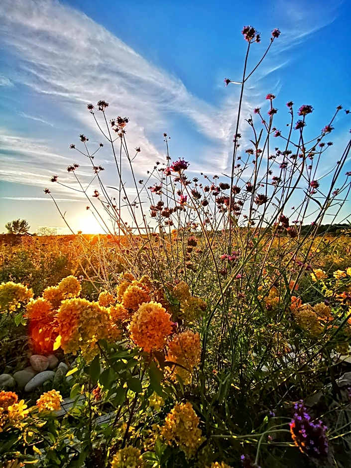 Sali Homes - GaesteHaus Lamm Obersulm