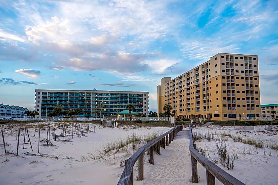 Plantation Dunes #5101