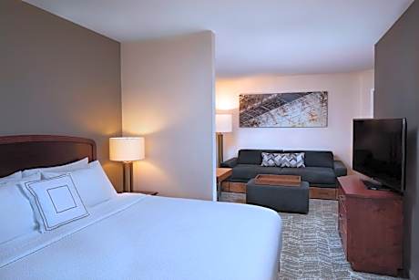 Suite, 1 King Bed with Sofa bed (1 King Bed and 1 Double Sofa Bed)