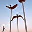 Country Inn & Suites by Radisson, Virginia Beach (Oceanfront)