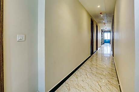 Collection O Stargaze