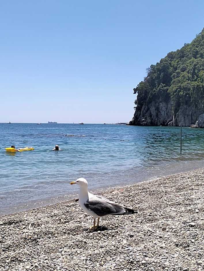 Villa Paradise (Amalfi Coast - Luxury Home - Beach)