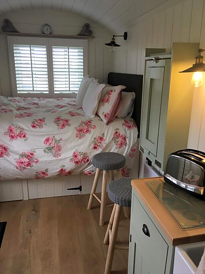 Downsfield Bed and Breakfast