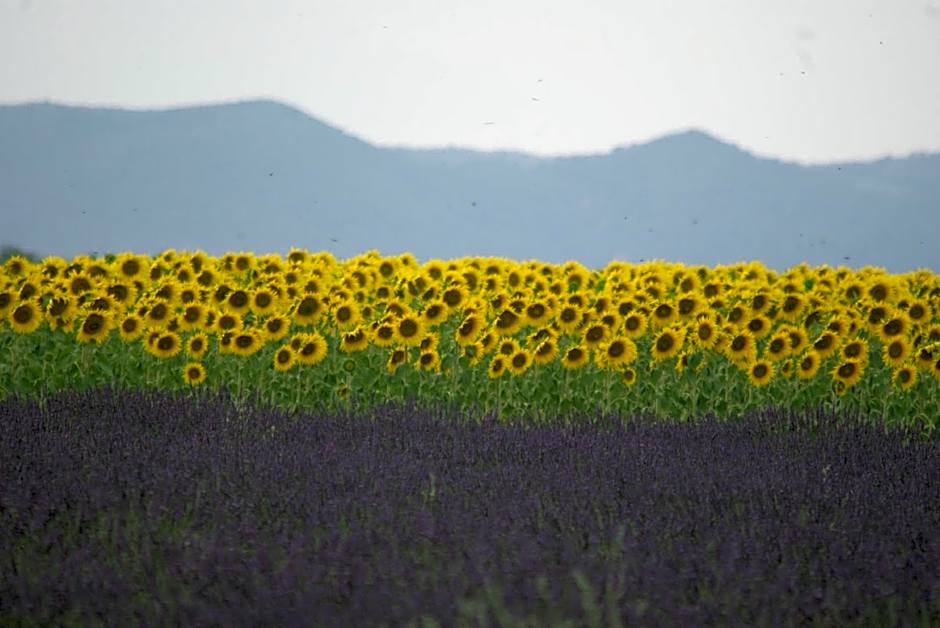 Hotel Bel Alp Manosque