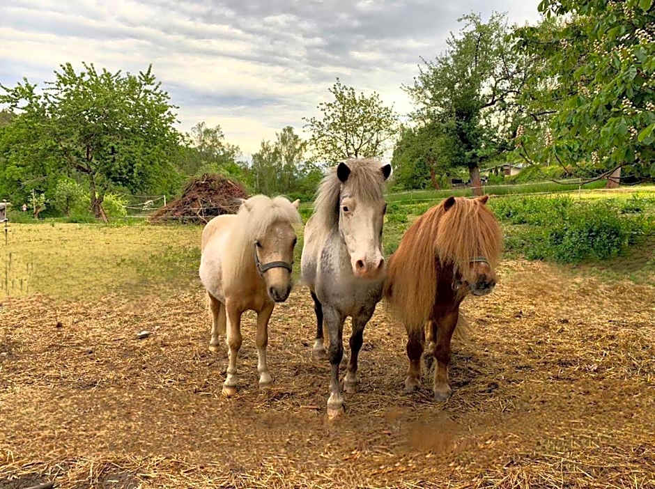 Pension Kastanienhof