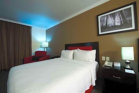 King Room - Non-Smoking