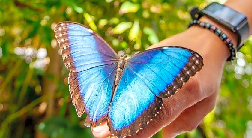 DoubleTree by Hilton Sharjah Waterfront Hotel And Residences