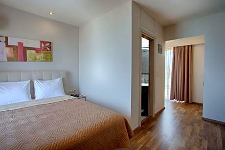 Deluxe Double or Twin Room with City View