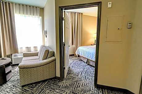 1 Queen Bed One Bedroom Suite