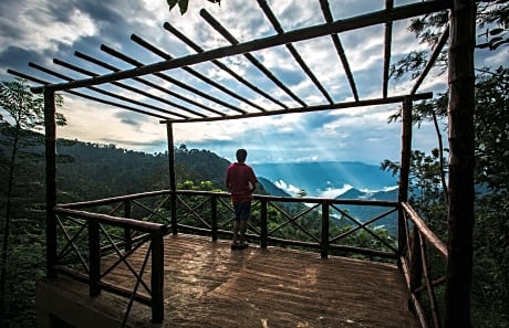 After the Rains - Rainforest Lodge