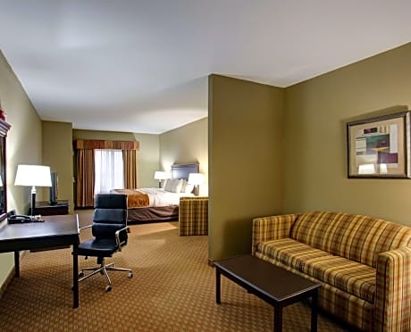 1 King Bed, Suite, Nonsmoking