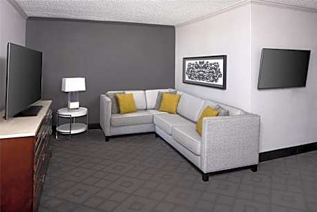 Suite with River View