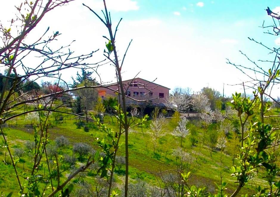 Il Rifugio dell'Ape Agriturismo