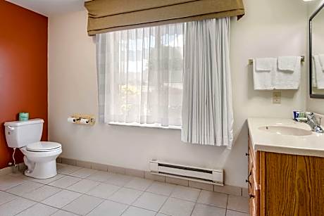 1 King Bed, Efficiency, Suite, Nonsmoking