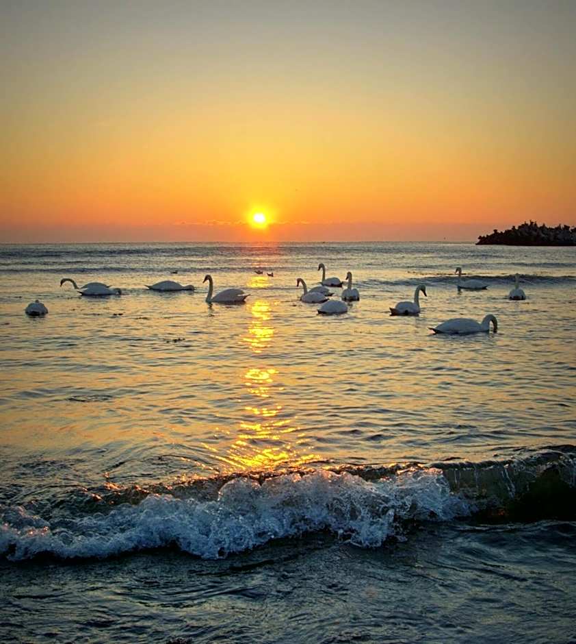 Vila Levent Mangalia