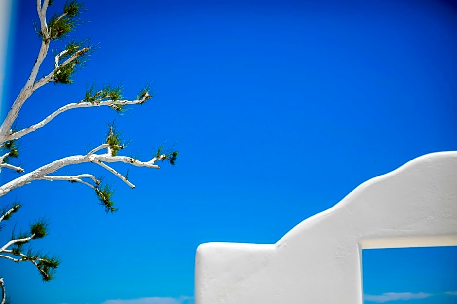 Lyo Boutique Hotel Mykonos