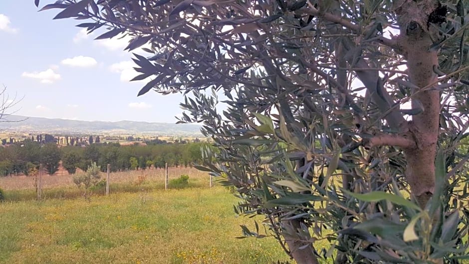 Le querce di mamre