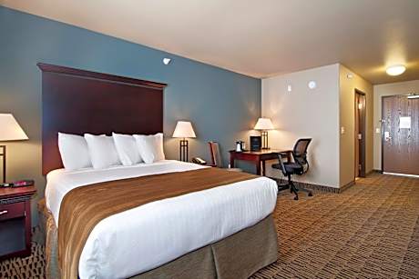 Standard King Room