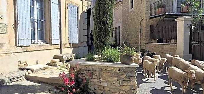 Chambres d'Hôtes Le relais des marmottes en Luberon