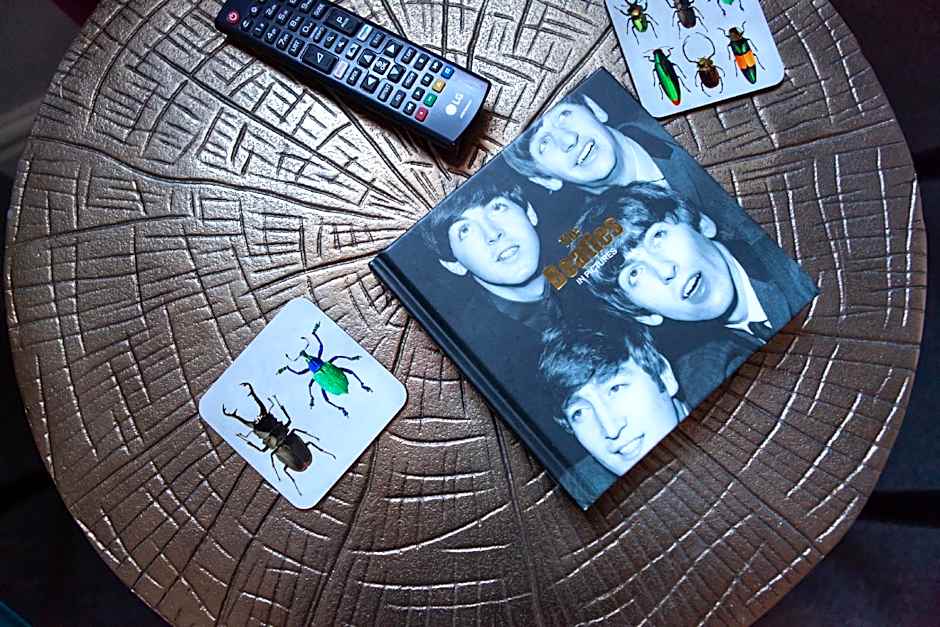 The View on the terrace