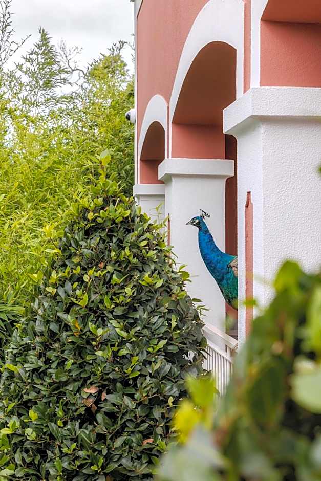 Enotel Santo da Serra