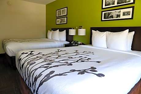 Queen Room with Two Queen Beds - Non-Smoking