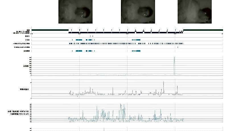 9h nine hours Hamamatsucho 