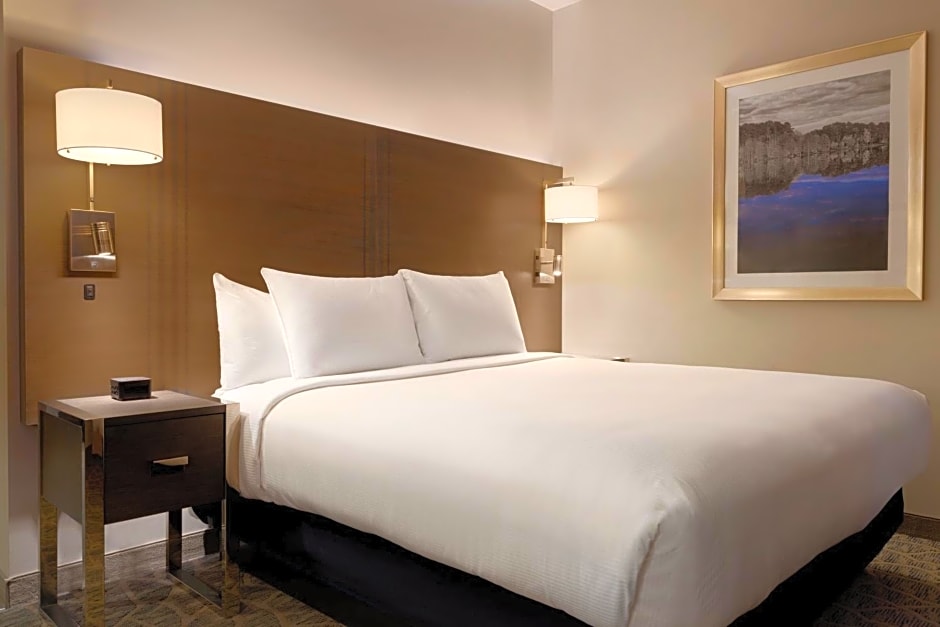 Embassy Suites by Hilton The Woodlands