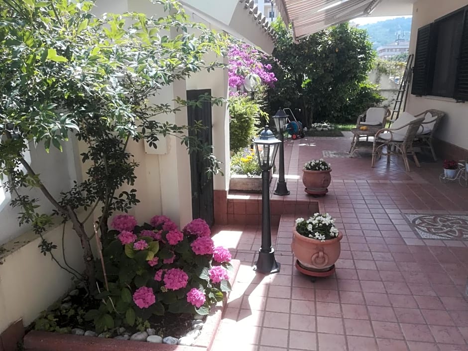 Il Cavalluccio Marino