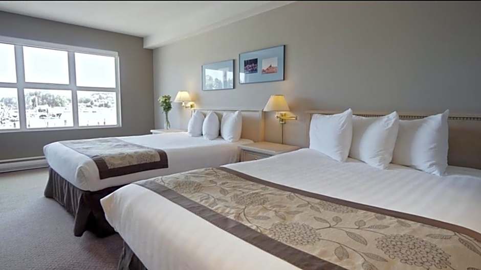 Quarterdeck marina and waterfront Port Hardy diving access