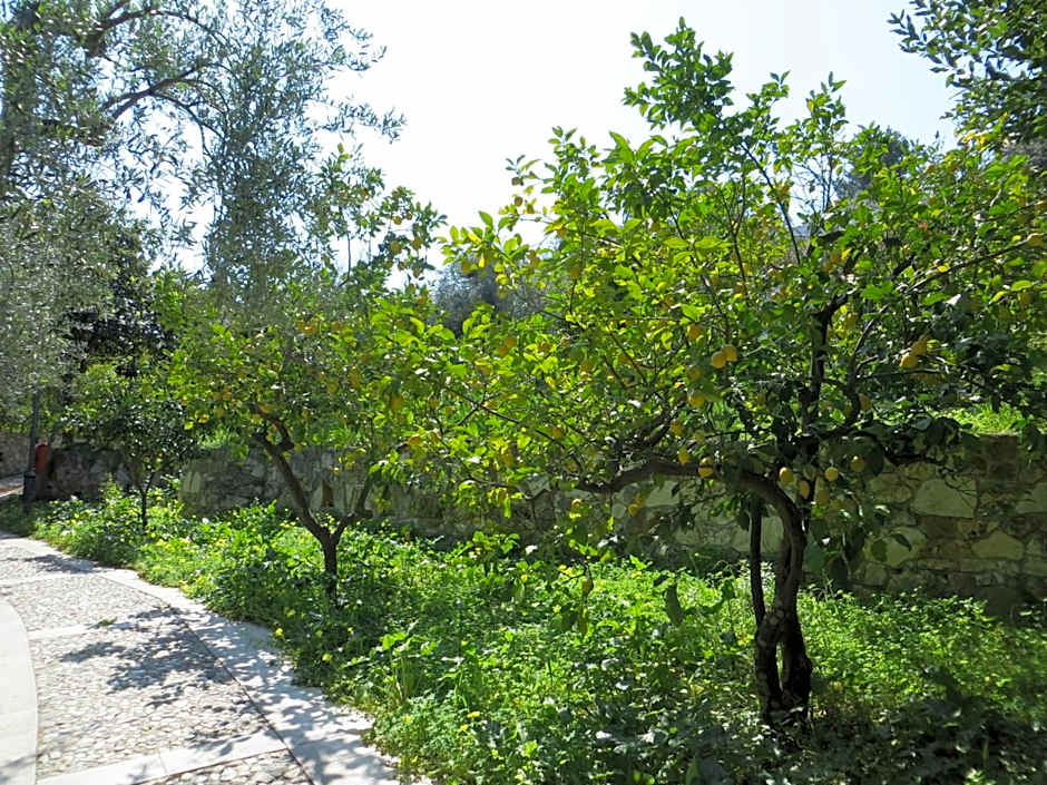 Villaggio Hotel Ripa