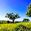B&B Maremma's dream