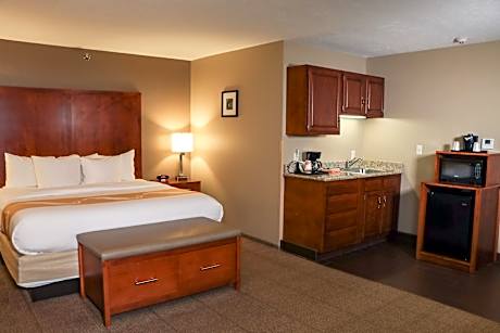 1 King Bed, Suite, Nonsmoking