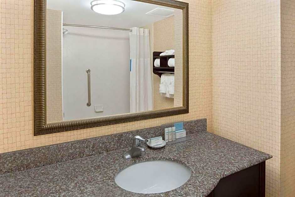 Hampton Inn By Hilton And Suites Savannah-Airport