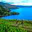 Damar Toba