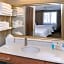 Hampton Inn By Hilton & Suites Denver-Speer Boulevard