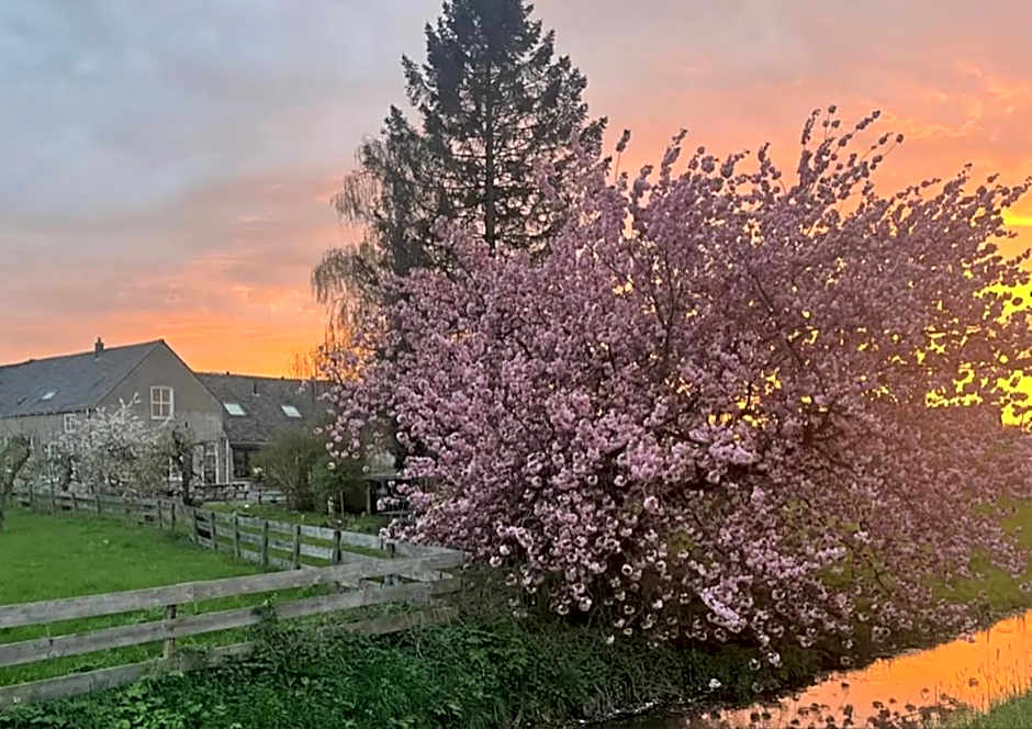 Bed & Brood De Vogelpoel