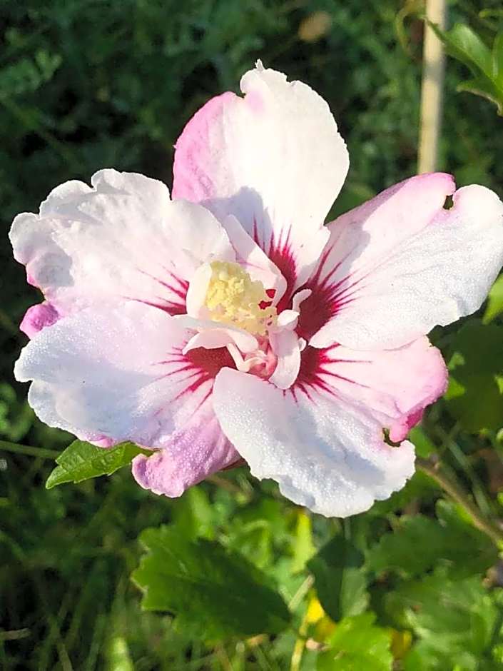 Our Valley View Bed & Breakfast