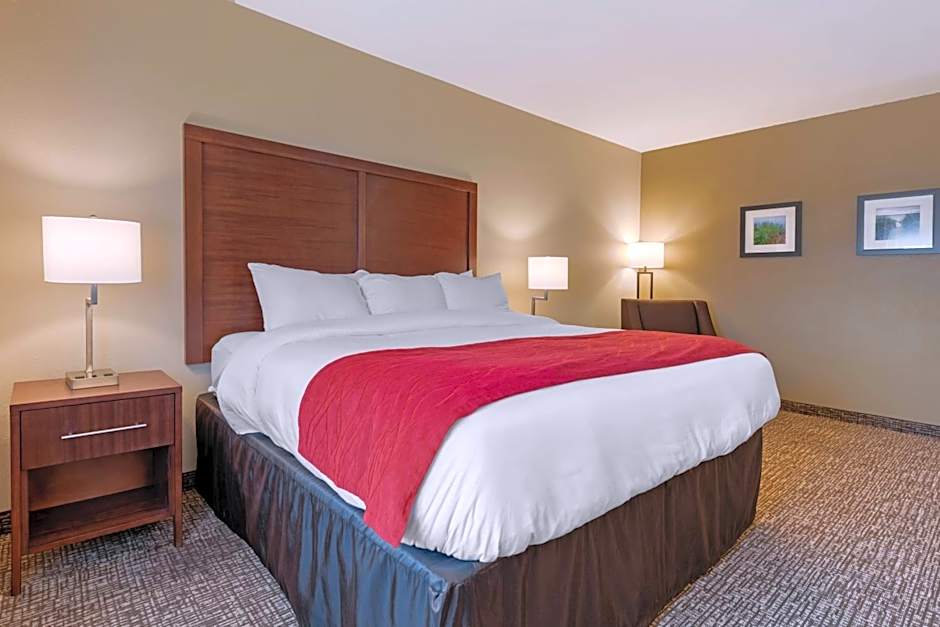 Comfort Inn & Suites Michigan City South