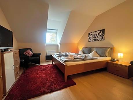 Apartment with Shower - attic