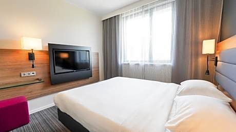 Family Room with One Queen Bed and Sofa Bed