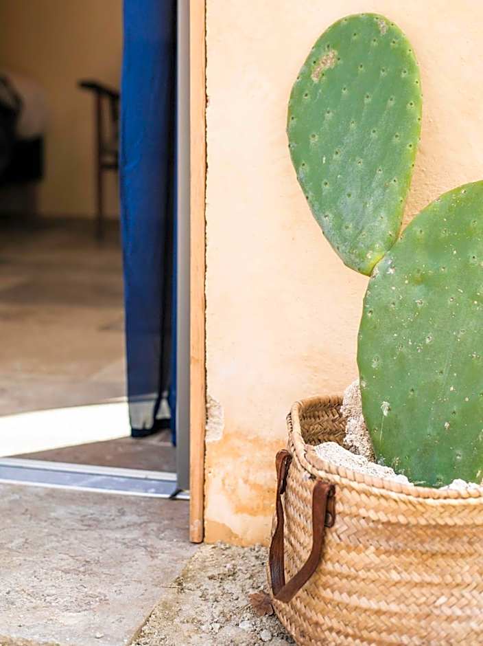 Eco lodge Carbonaccio