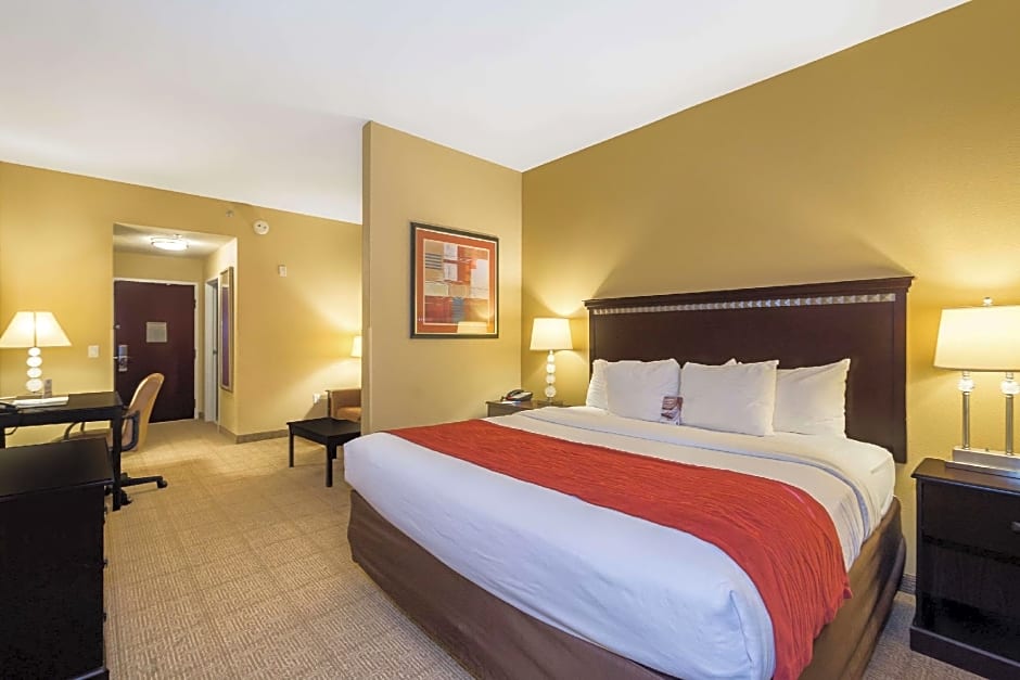 Comfort Inn & Suites Maingate South