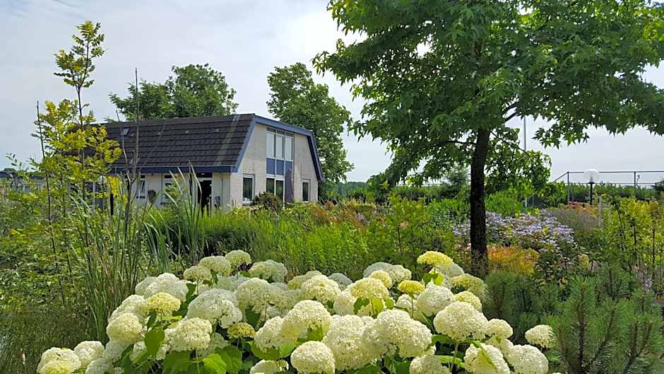 Photo 1 of 50 of B&B Bovenweg