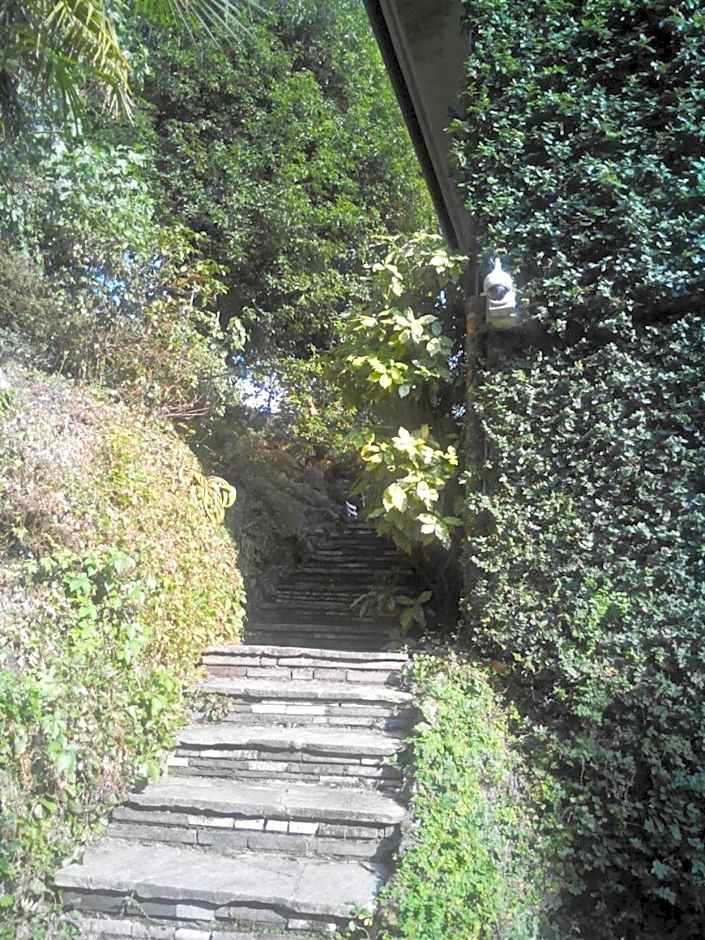 B&B Le Ortensie -Lago di Como