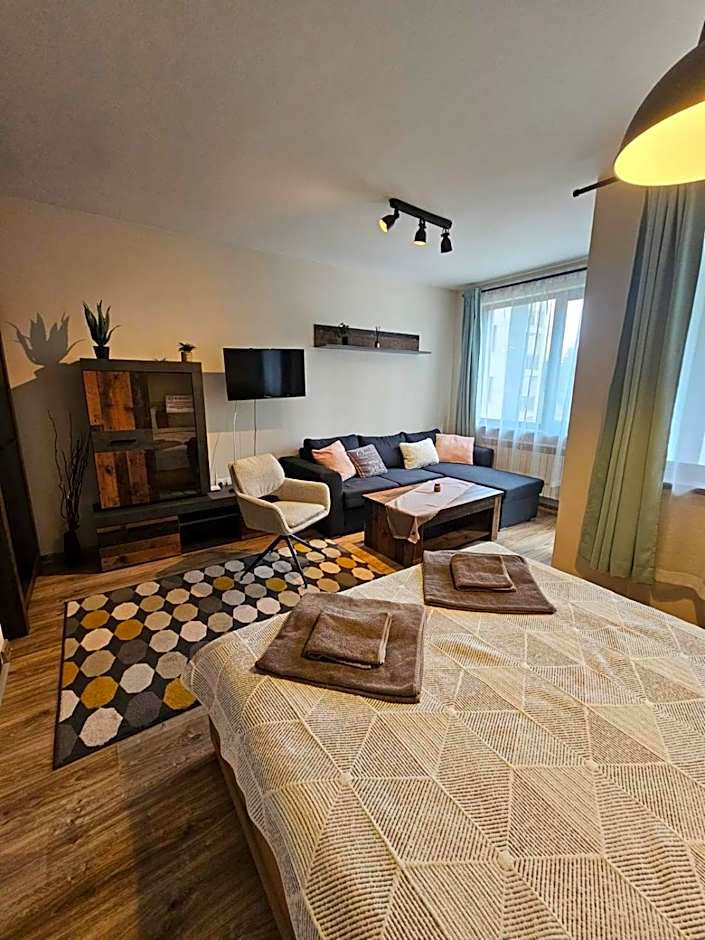 Bright & Cozy Studio E27 in Borovets Gardens